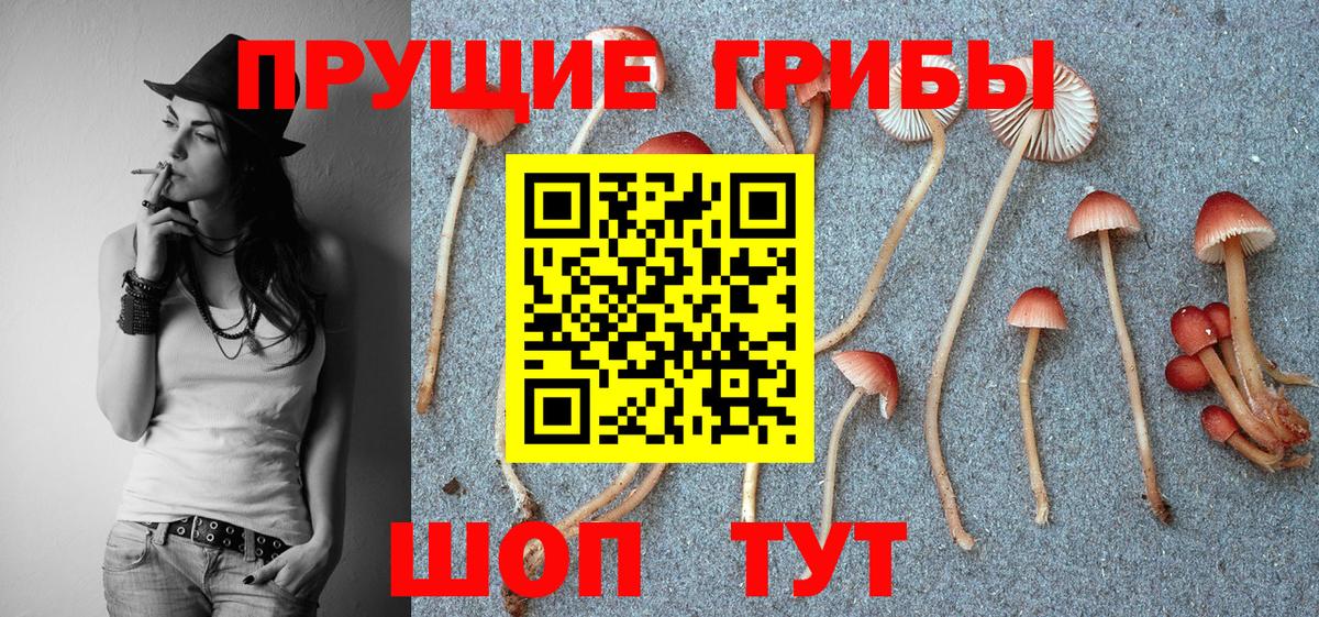 Галлюциногенные грибы Magic Shrooms  Вход с VPN  Верхняя Салда 